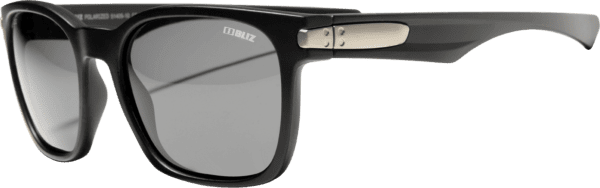 Bliz Polarized Black C 1