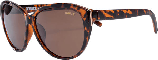 Bliz Polarized Brown B 1