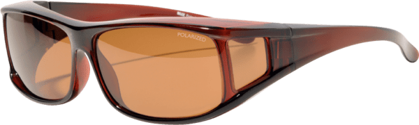 Bliz Polarized OTG Brown C 1