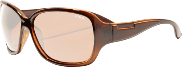 Bliz Polarized Brown B 1